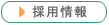 �̗p���